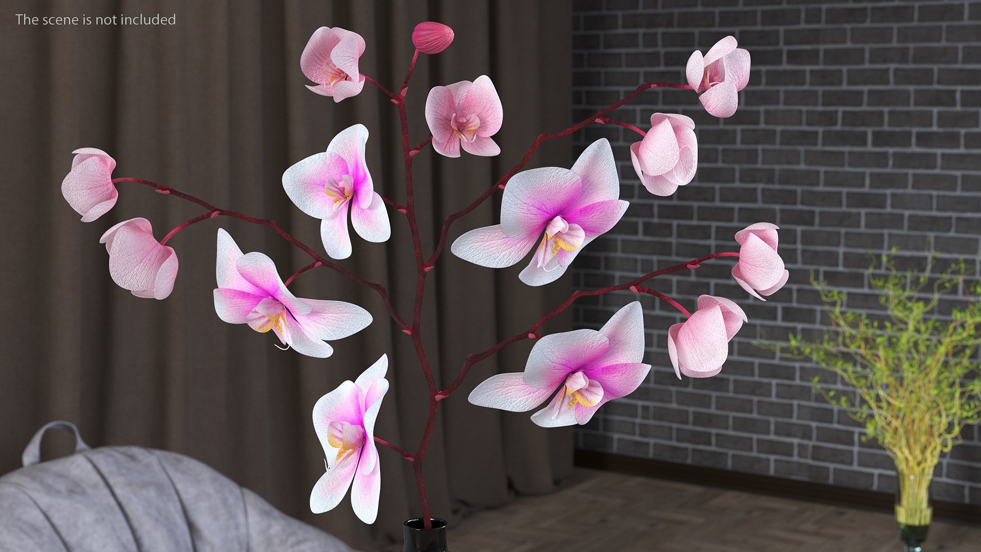 Black Vase with Phalaenopsis Orchid 3D https://p.turbosquid.com/ts-thumb/Kv/RVZ6uy/Gv/blackvasewithphalaenopsisorchidmb3dmodel005/jpg/1686081027/1920x1080/fit_q87/cc8d16af3a66da037cb3379597b2695a9b5595c9/blackvasewithphalaenopsisorchidmb3dmodel005.jpg