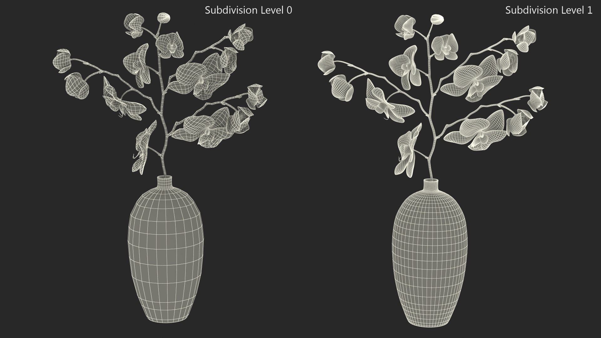Black Vase with Phalaenopsis Orchid 3D https://p.turbosquid.com/ts-thumb/Kv/RVZ6uy/MV/blackvasewithphalaenopsisorchidmb3dmodel017/jpg/1686081069/1920x1080/fit_q87/c8b0054b5d30a39418cf5928a3baf1496e4735b3/blackvasewithphalaenopsisorchidmb3dmodel017.jpg