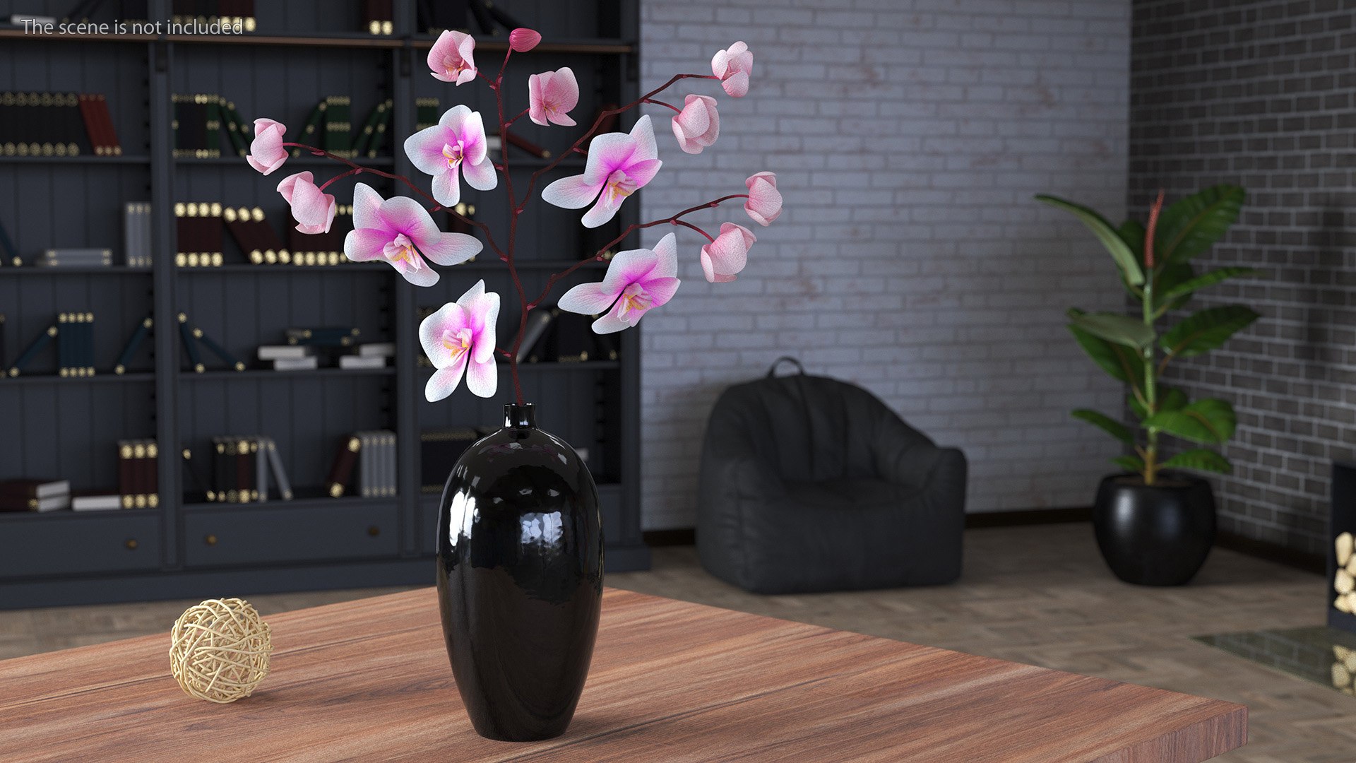 Black Vase with Phalaenopsis Orchid 3D https://p.turbosquid.com/ts-thumb/Kv/RVZ6uy/Sl/blackvasewithphalaenopsisorchidmb3dmodel002/jpg/1686081015/1920x1080/fit_q87/651430963418554b79ab83d30c4f5d30e1c98cdc/blackvasewithphalaenopsisorchidmb3dmodel002.jpg