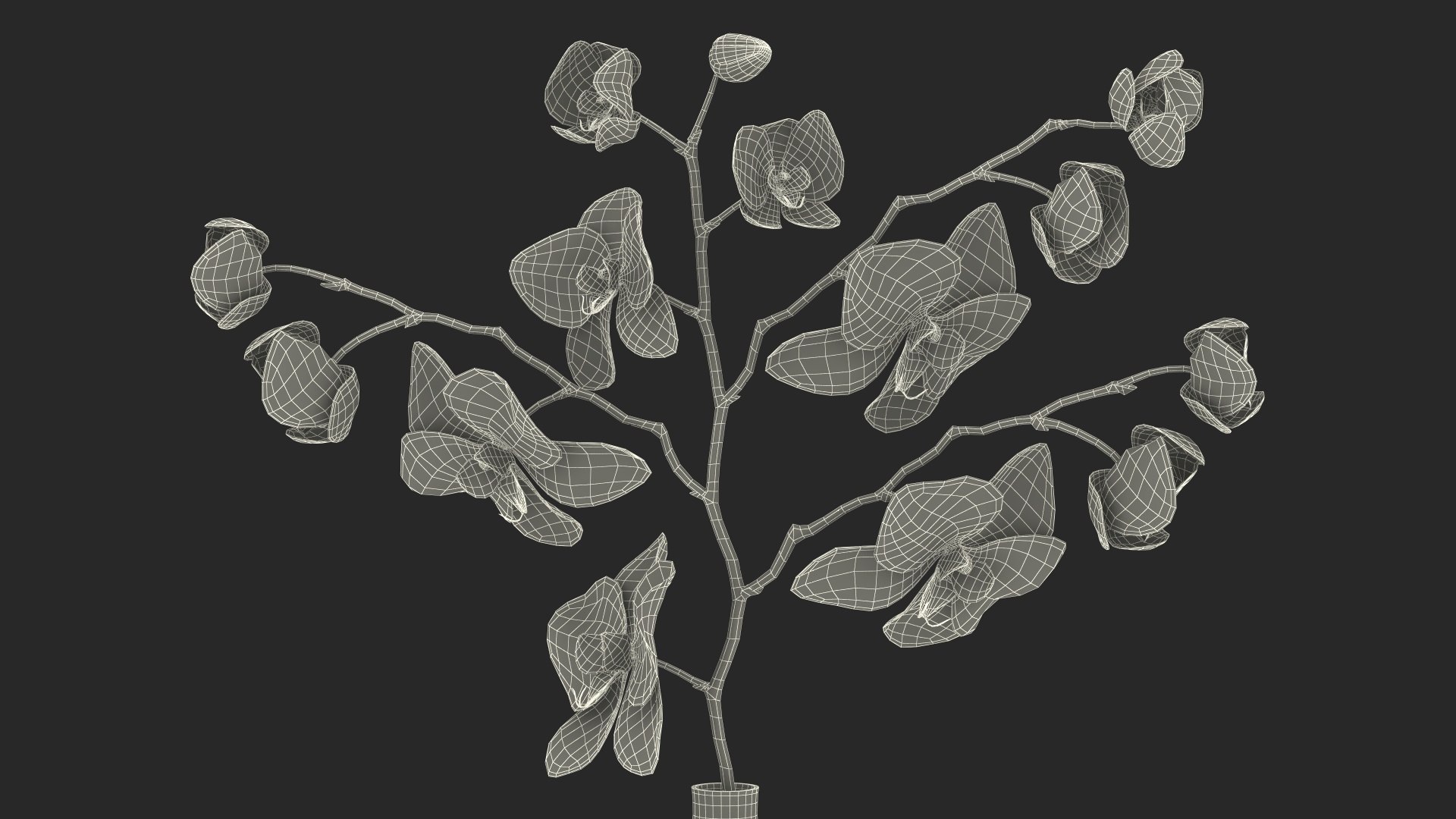 Black Vase with Phalaenopsis Orchid 3D https://p.turbosquid.com/ts-thumb/Kv/RVZ6uy/Ww/blackvasewithphalaenopsisorchidmb3dmodel026/jpg/1686081105/1920x1080/fit_q87/075c8f2b55f007b458844244bce70258509bb8ee/blackvasewithphalaenopsisorchidmb3dmodel026.jpg