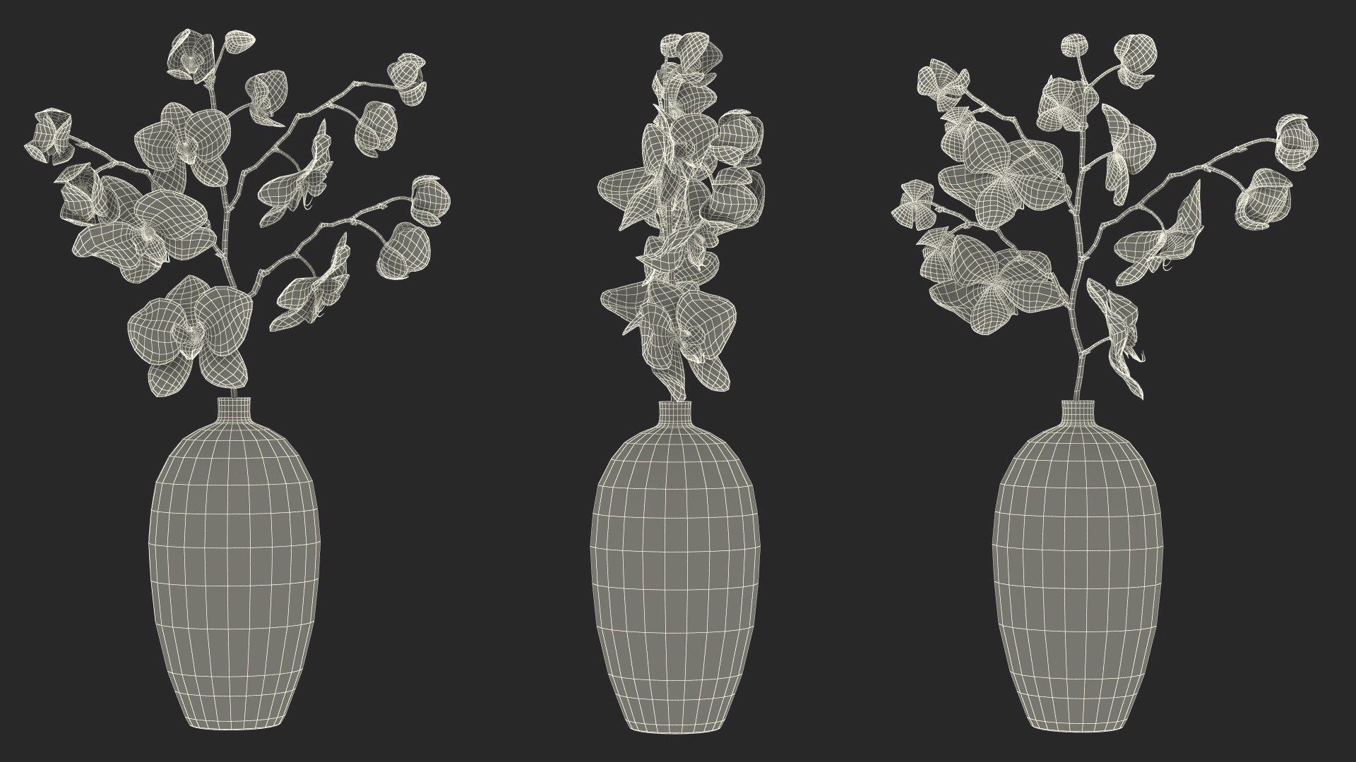 Black Vase with Phalaenopsis Orchid 3D https://p.turbosquid.com/ts-thumb/Kv/RVZ6uy/dy/blackvasewithphalaenopsisorchidmb3dmodel025/jpg/1686081100/1920x1080/fit_q87/73c783bd00a6365ddc0a1a4ae42894f6dcf8c167/blackvasewithphalaenopsisorchidmb3dmodel025.jpg