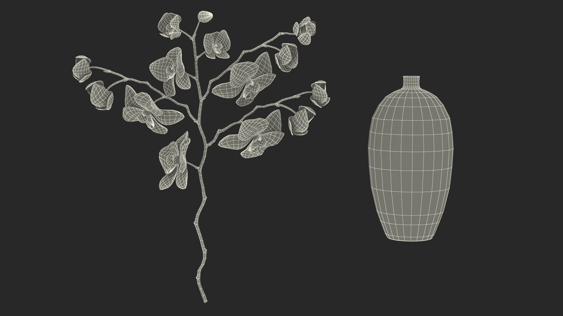 Black Vase with Phalaenopsis Orchid 3D https://p.turbosquid.com/ts-thumb/Kv/RVZ6uy/fn/blackvasewithphalaenopsisorchidmb3dmodel029/jpg/1686081113/1920x1080/fit_q87/c11957424f4a59479ccd9d4fb31db81fde97107a/blackvasewithphalaenopsisorchidmb3dmodel029.jpg
