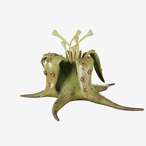 Fotopus Carnivorous Monster Plant model
