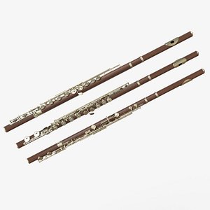 Concert Flute Wood Silver 3D