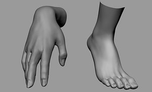 3D model female hand foot