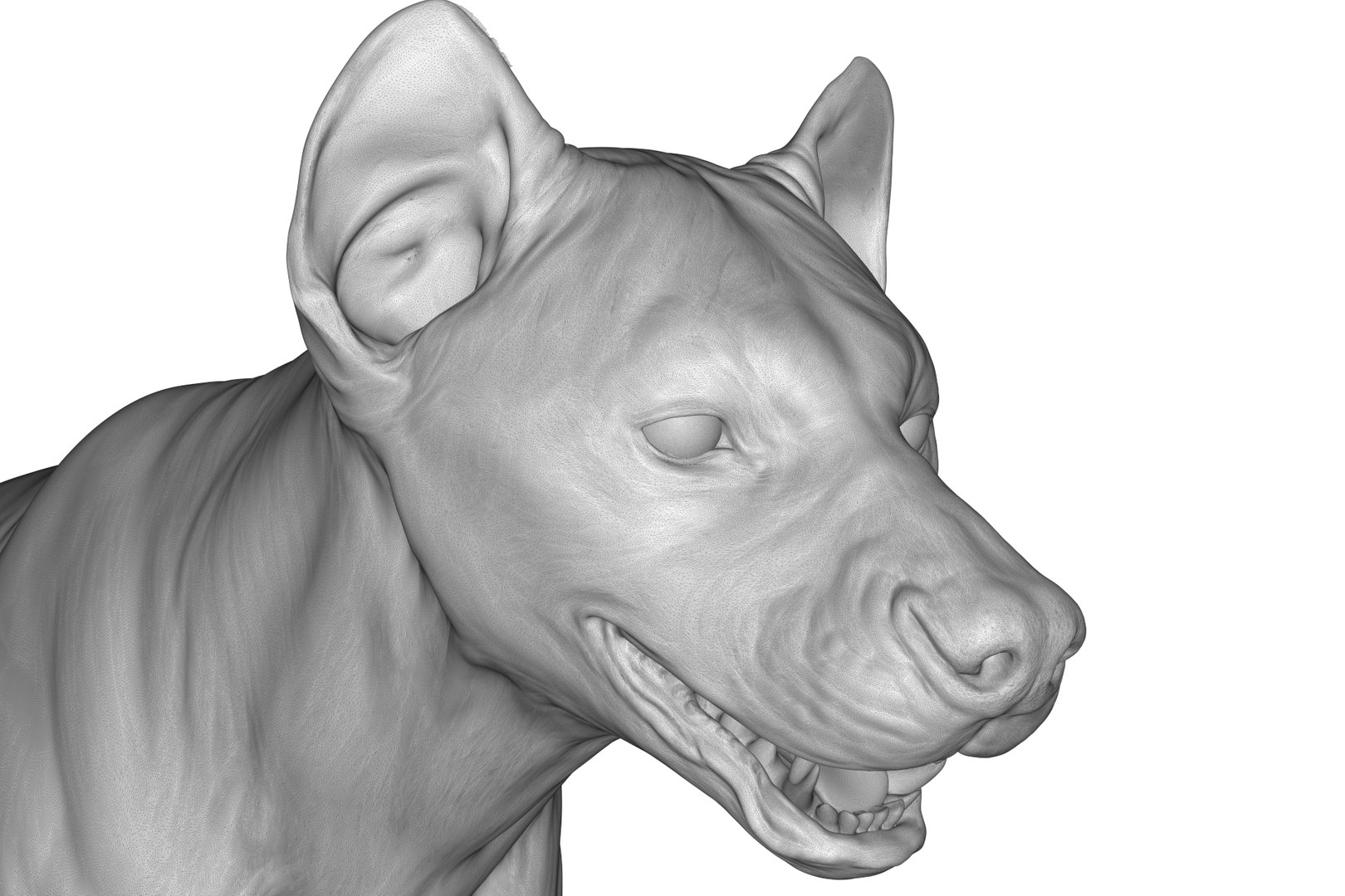 Hyena 3D model https://p.turbosquid.com/ts-thumb/Kv/i80fNh/8Y/render_25/jpg/1711130369/1920x1080/fit_q87/12e2b8aa240bc6a593b13608060be38c6de16fa1/render_25.jpg