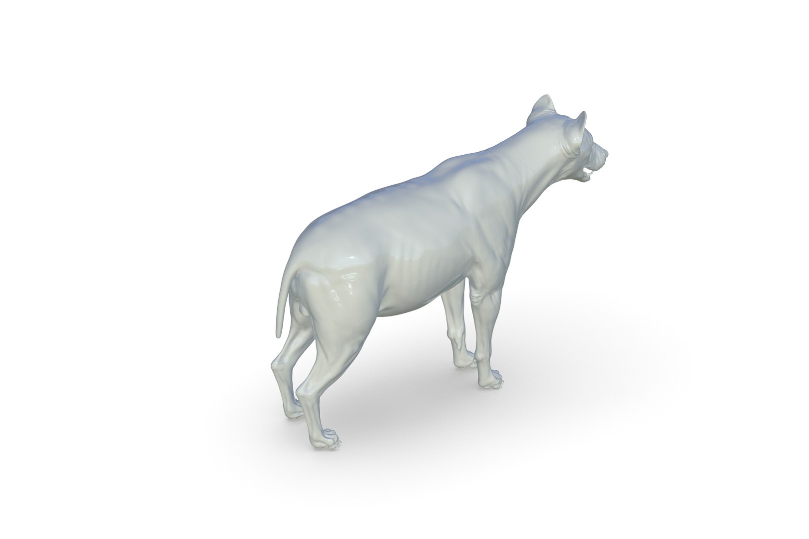 Hyena 3D model https://p.turbosquid.com/ts-thumb/Kv/i80fNh/9V/render_09/jpg/1711130352/1920x1080/fit_q87/a1d465947f9071c643a1d7e02681d41eae36779c/render_09.jpg