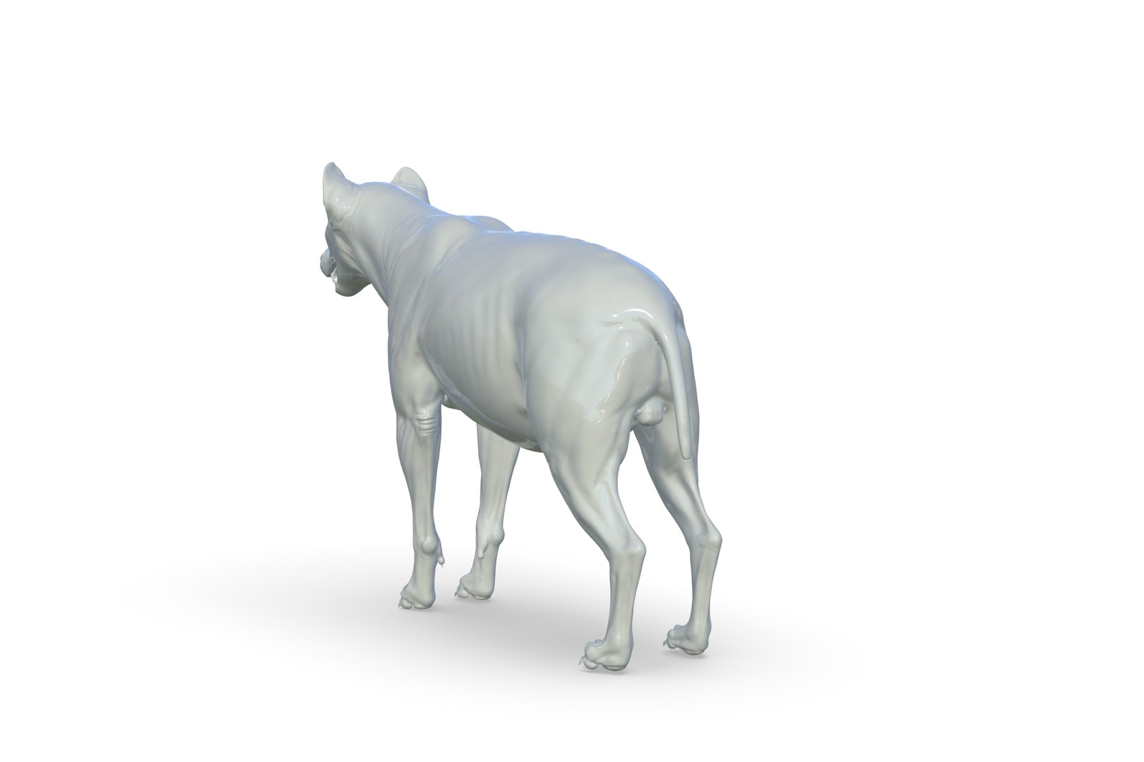 Hyena 3D model https://p.turbosquid.com/ts-thumb/Kv/i80fNh/Bt/render_05/jpg/1711130350/1920x1080/fit_q87/4b45eff343421a175e29a60be9902c6ae76d2243/render_05.jpg