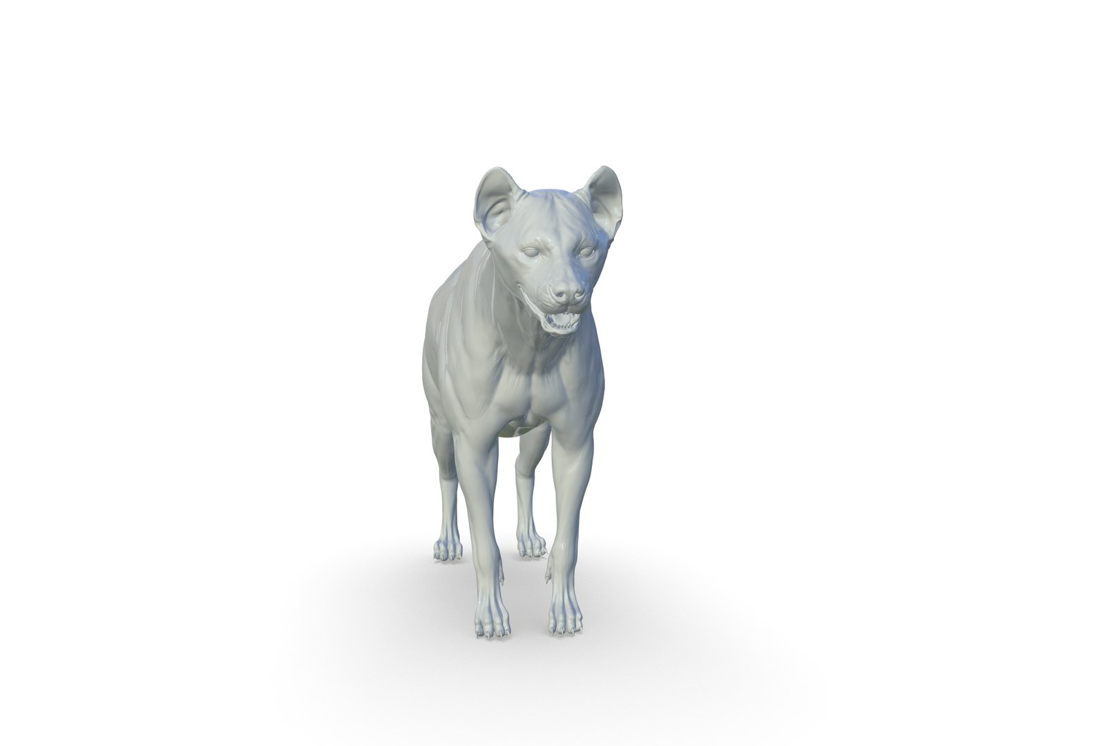 Hyena 3D model https://p.turbosquid.com/ts-thumb/Kv/i80fNh/LY/render_13/jpg/1711130355/1920x1080/fit_q87/333207ac91105a8e30bce5e9a34a83ad421c2a6c/render_13.jpg