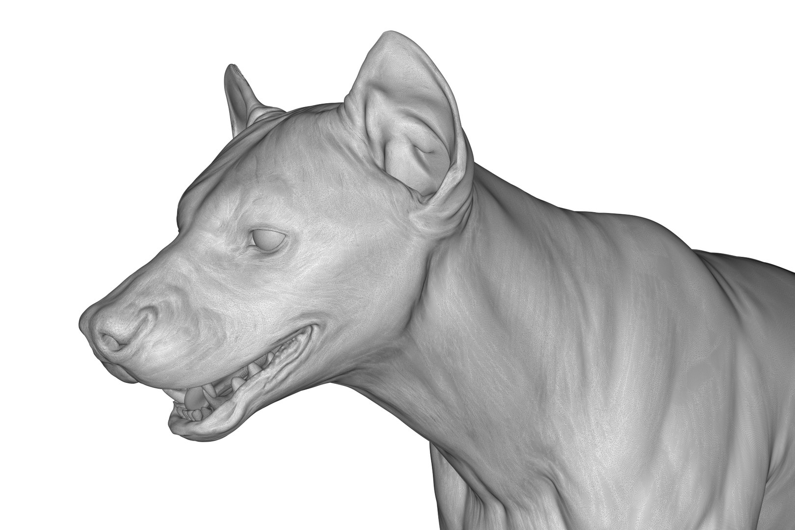 Hyena 3D model https://p.turbosquid.com/ts-thumb/Kv/i80fNh/MK/render_24/jpg/1711130365/1920x1080/fit_q87/b5a1f9b47bc9b80e78148afa616442f9ddc96480/render_24.jpg