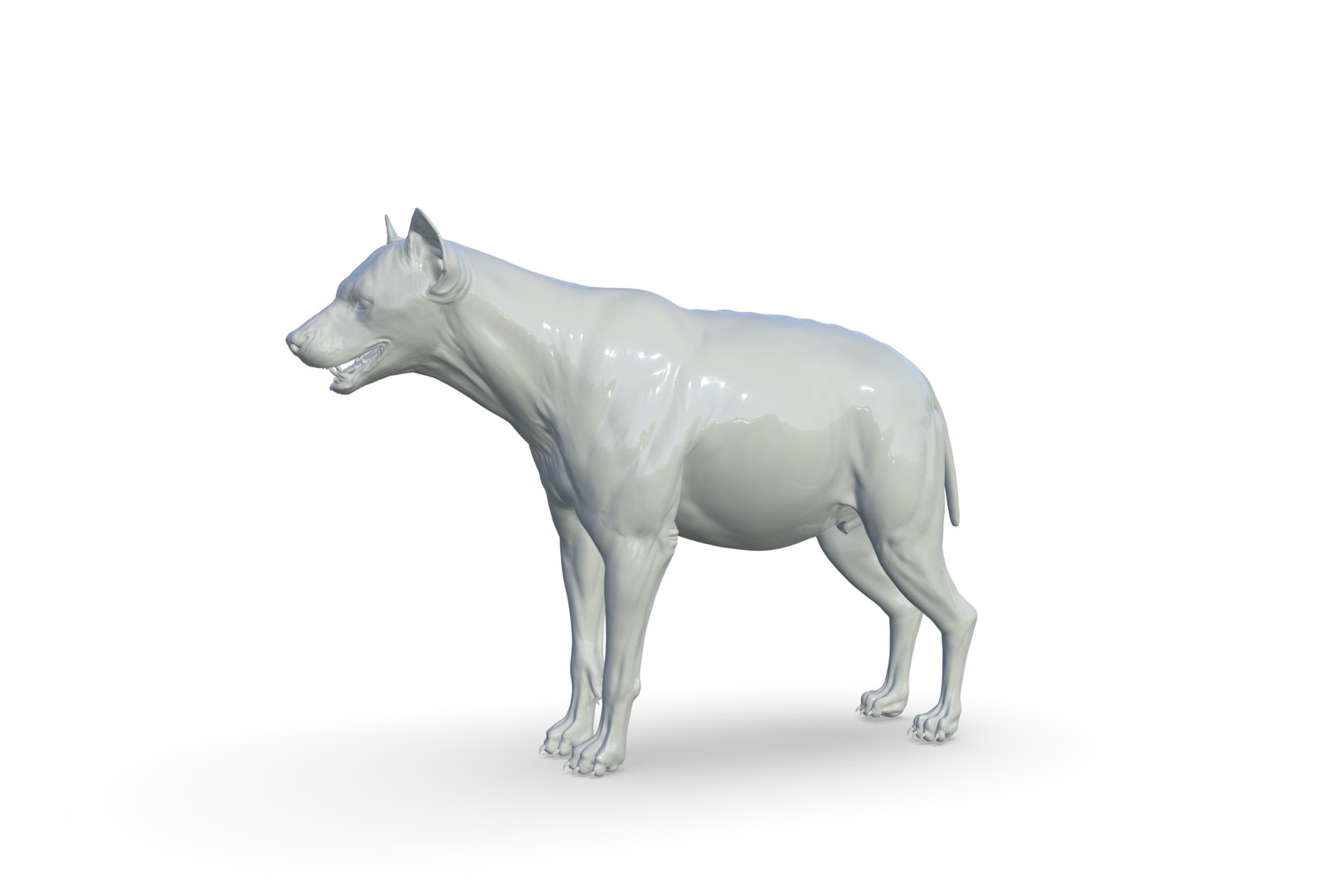 Hyena 3D model https://p.turbosquid.com/ts-thumb/Kv/i80fNh/Uk/render_03/jpg/1711130348/1920x1080/fit_q87/2b8981211b80e04d82ba5b2a218b854a775ea39d/render_03.jpg