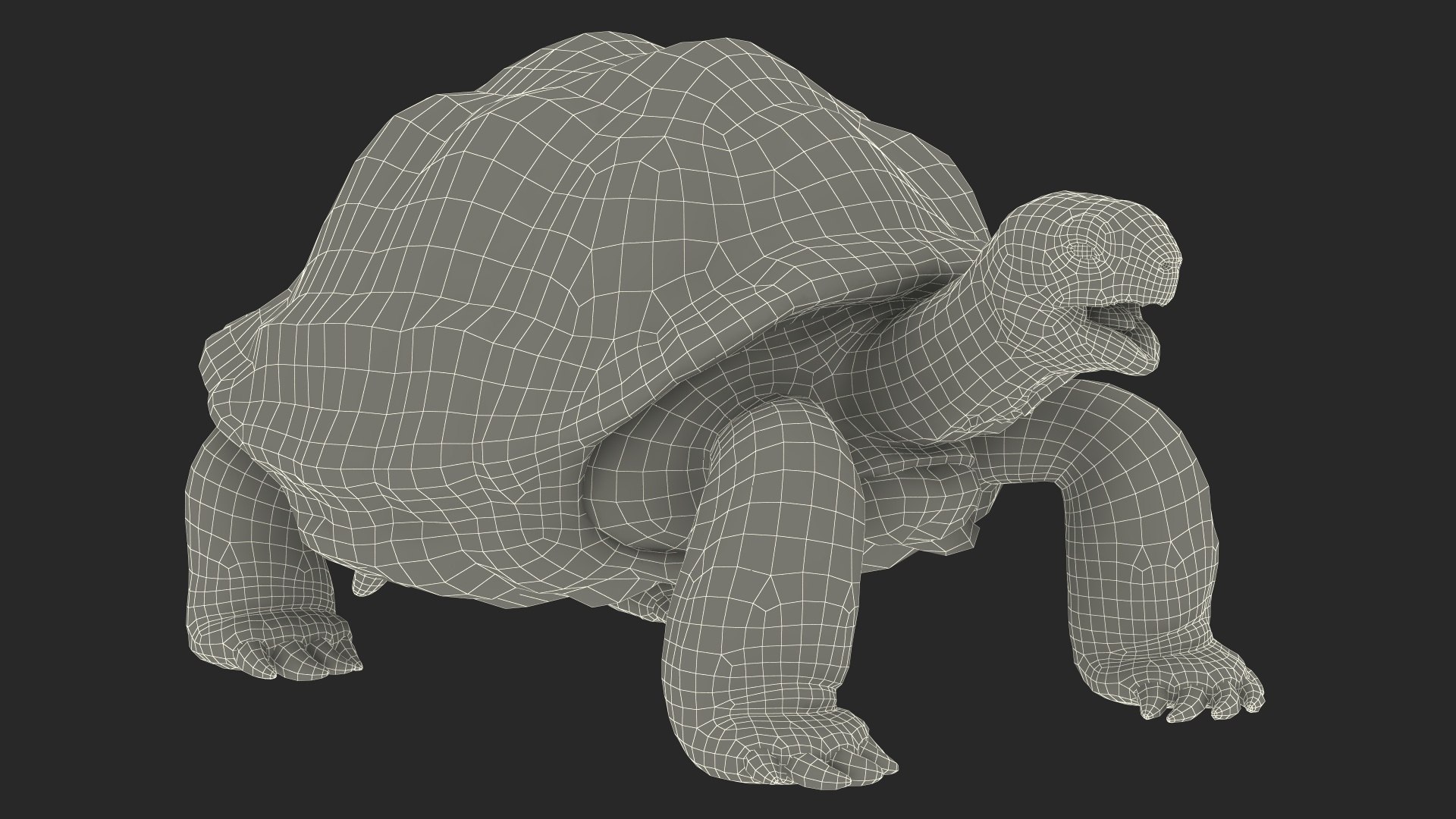 Turtles Rigged Collection 4 3D model https://p.turbosquid.com/ts-thumb/Kv/iOmeFR/ce/riggedturtlescollection43dsmodel032/jpg/1773414878/1920x1080/fit_q87/dccdc8a03ff1c972aae743395365771b33cc304d/riggedturtlescollection43dsmodel032.jpg