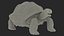 Coleção Turtles Rigged 4