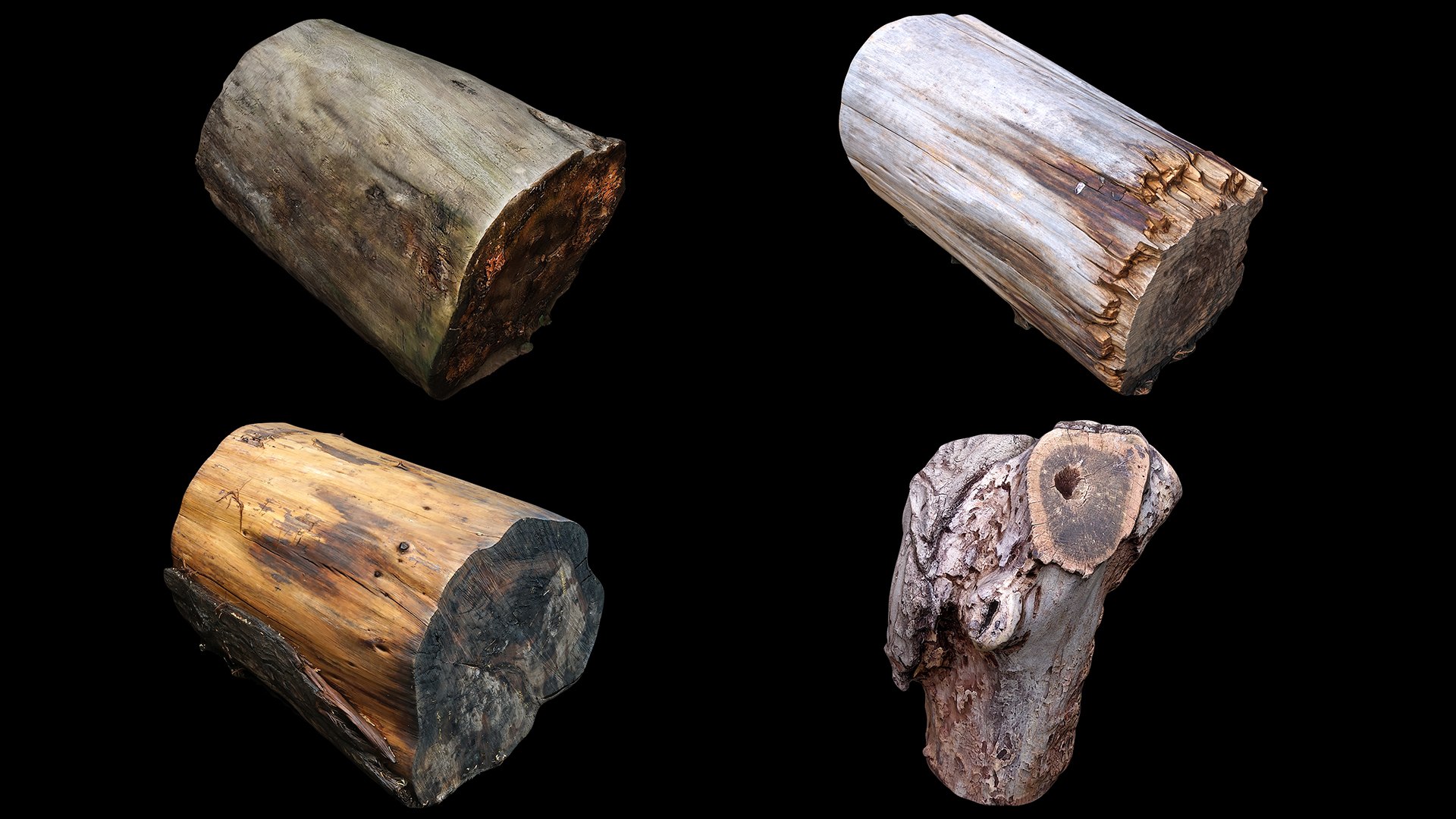 Tree Stump Collection 11 3D model https://p.turbosquid.com/ts-thumb/Kv/mxBUsV/tX/collection11/jpg/1682690723/1920x1080/fit_q87/cb569c18ca0b6fbe85303924323148079f4d16ea/collection11.jpg