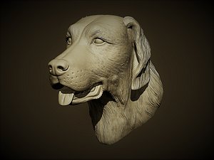 Head Dog Retrievers