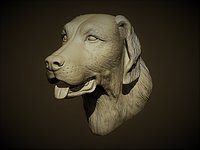 Head Dog Retrievers