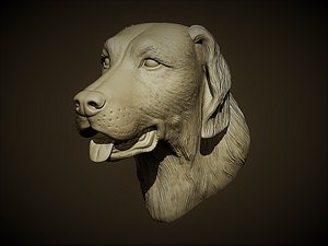 Head Dog Retrievers