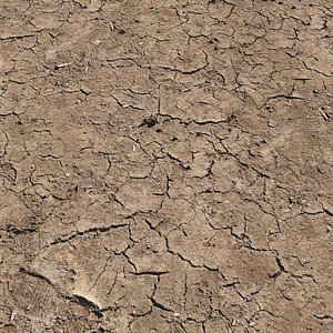 Ultra realistic Ground cracks