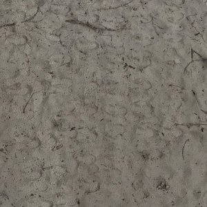 Trampled Sandy Ground with Footprints Surface Texture Scan