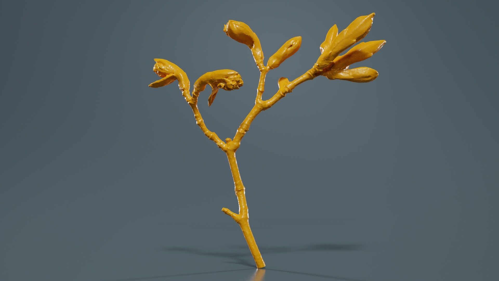 Acer Opalus Mill Italian Maple Sapindaceae Sprout Remastered 3D Model ...