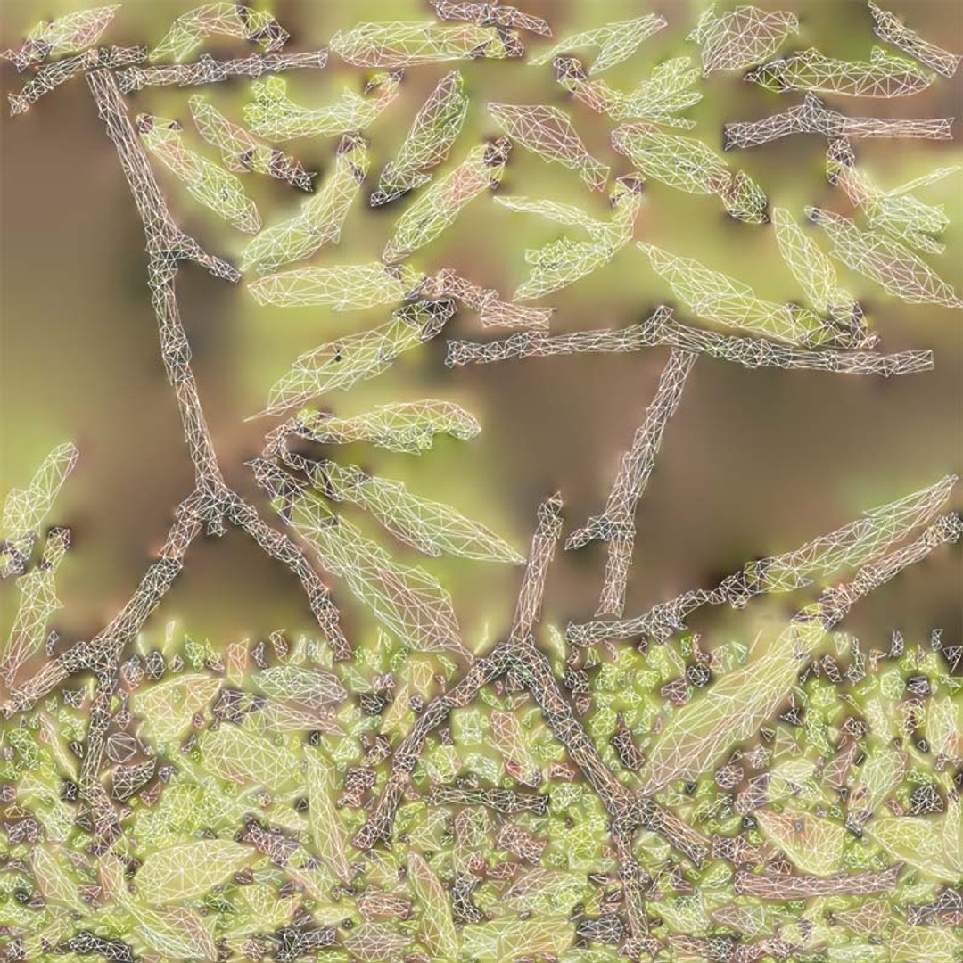 Acer Opalus Mill Italian Maple Sapindaceae Sprout Remastered 3D Model ...