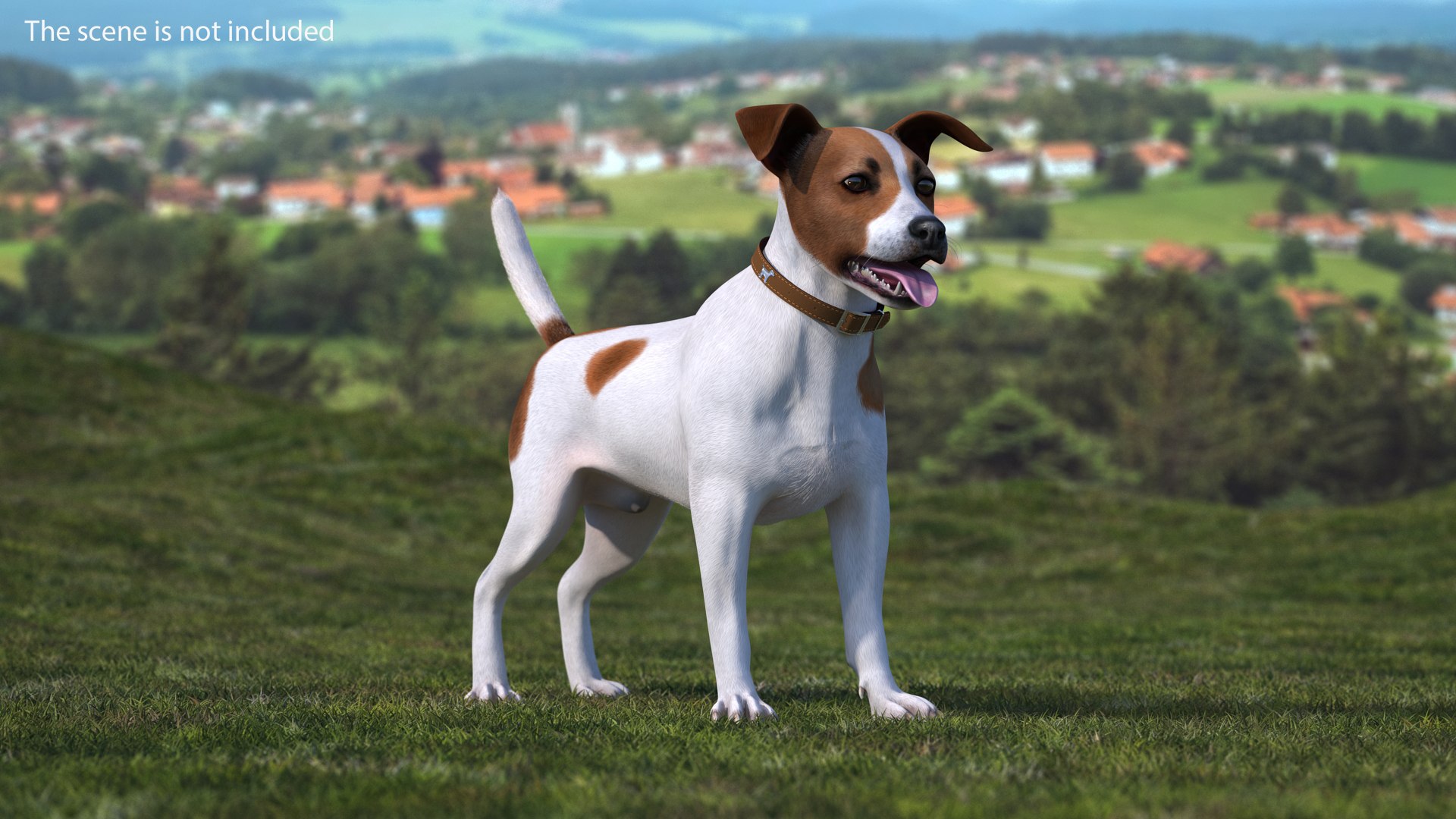 Spotted Jack Russell Terrier Fur Rigged 3D model preview