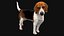 3D beagleDog 3D model