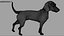3D beagleDog 3D model