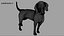3D beagleDog 3D model