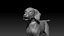 3D beagleDog 3D model