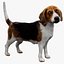 3D beagleDog 3D model
