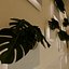 Mur plat décoré