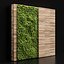 Vertical garden and planks 2
