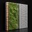 Vertical garden and planks 2