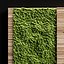 Vertical garden and planks 2