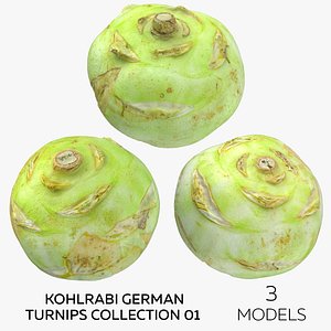 Kohlrabi German Turnips Collection 01 - 3 models 3D model