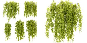 3D Collection plant vol 281 - blender model model