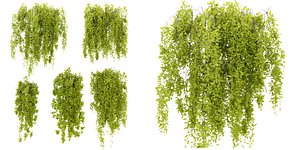 Collection plant vol 281 - blender model