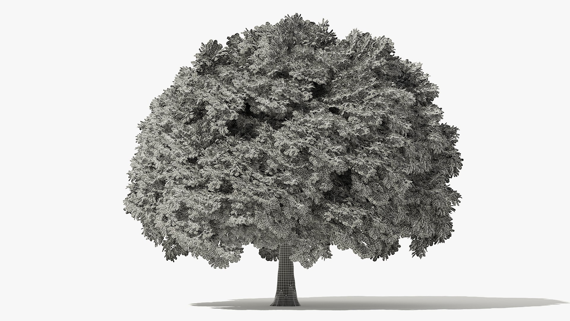 3D Autumn Norway Maple Tree Model - TurboSquid 1478808