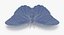 Blue Morpho Butterfly Wings Open Pose 01