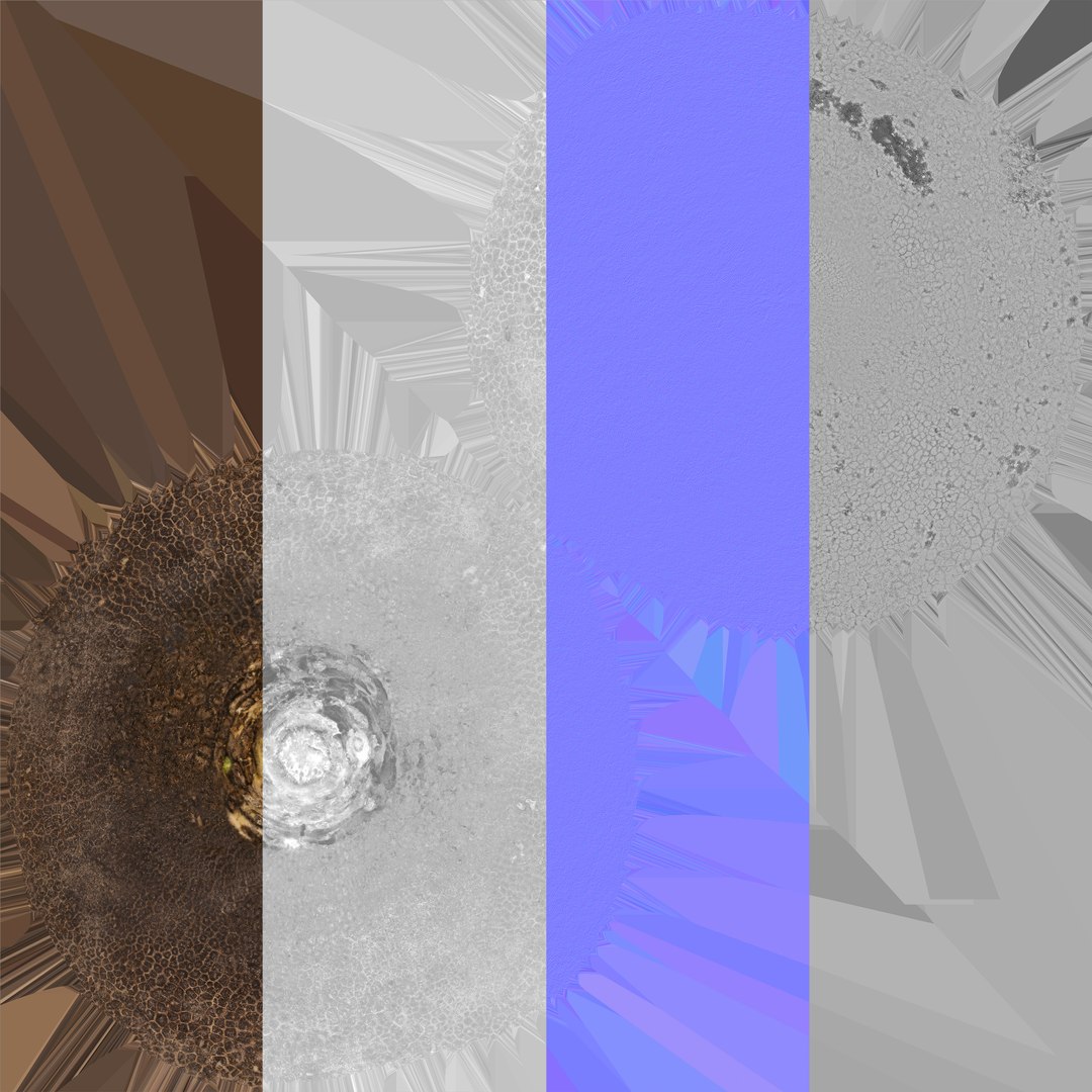 3D Turnip Black 05 - TurboSquid 1770244