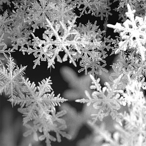 Snowflakes