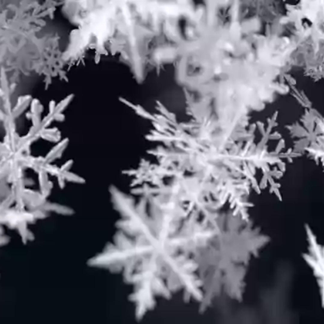 3d cycles snowflakes snow model https://p.turbosquid.com/ts-thumb/Kw/tdY6qB/uJ7XxlWK/01/png/1455563352/1920x1080/turn_fit_q99/a4605b0d13b47ad8ab2d94814e3019de4b1919b4/01-1.jpg