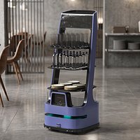 Autonomous Serving Robot with Glasses and Drinks
