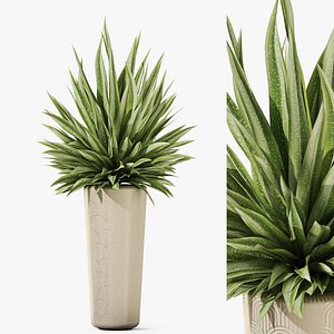 3D Plants collection 1184 model