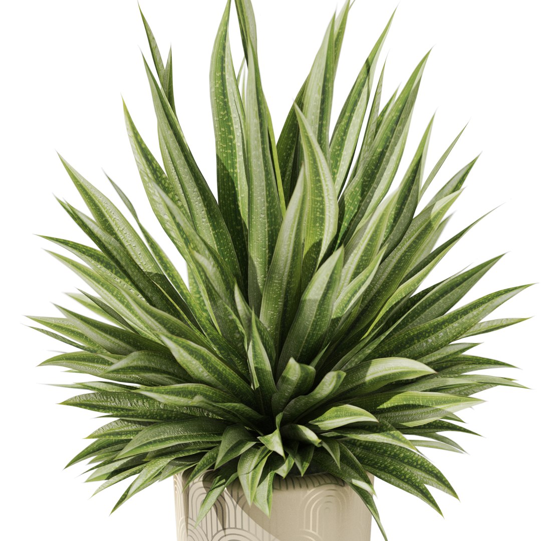 3D Plants collection 1184 model https://p.turbosquid.com/ts-thumb/Kx/8gesru/yF/plant_1184_02/jpg/1742884232/1920x1080/fit_q87/c3b5a0e9f61fa7b2914358eda5910a0825763ea4/plant_1184_02.jpg