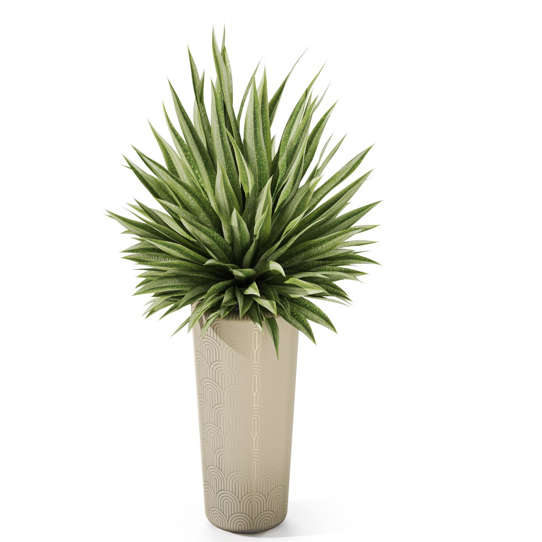 3D Plants collection 1184 model https://p.turbosquid.com/ts-thumb/Kx/8gesru/zS/plant_1184_03/jpg/1742884231/1920x1080/fit_q87/277a87ba67321c386699232f4e0682a9753453d4/plant_1184_03.jpg