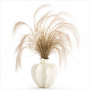 Bouquet dried flowers Cortaderia pampas branches vase decor
