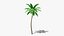 3D Stylized Cartoon Palms Set