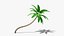 3D Stylized Cartoon Palms Set